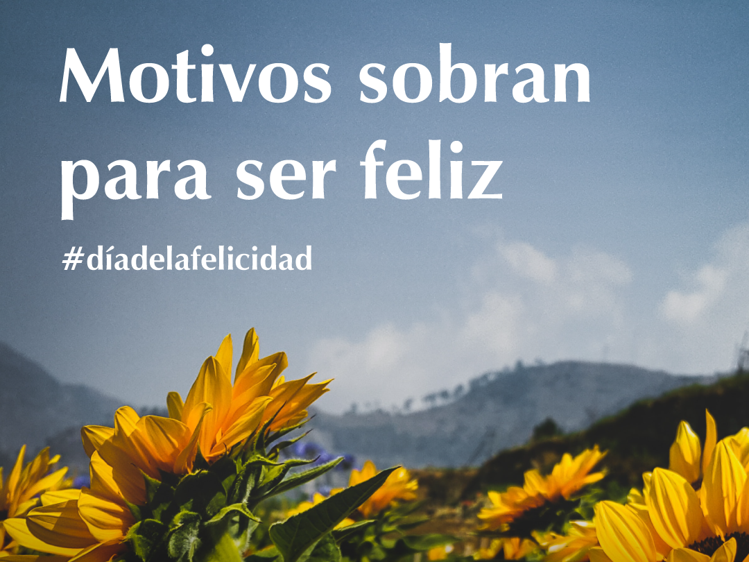 22. Motivos sobran para ser feliz ♾️✨