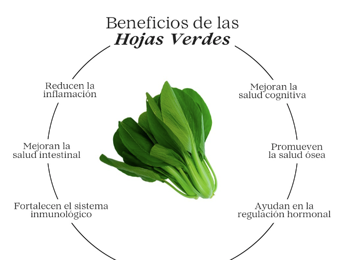 Beneficios de las hojas verdes 🌿