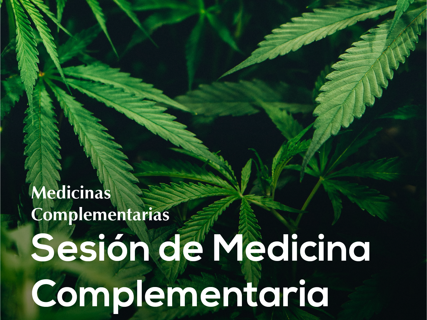 07. Sesión de Medicina Cannabica ♾️ ✨