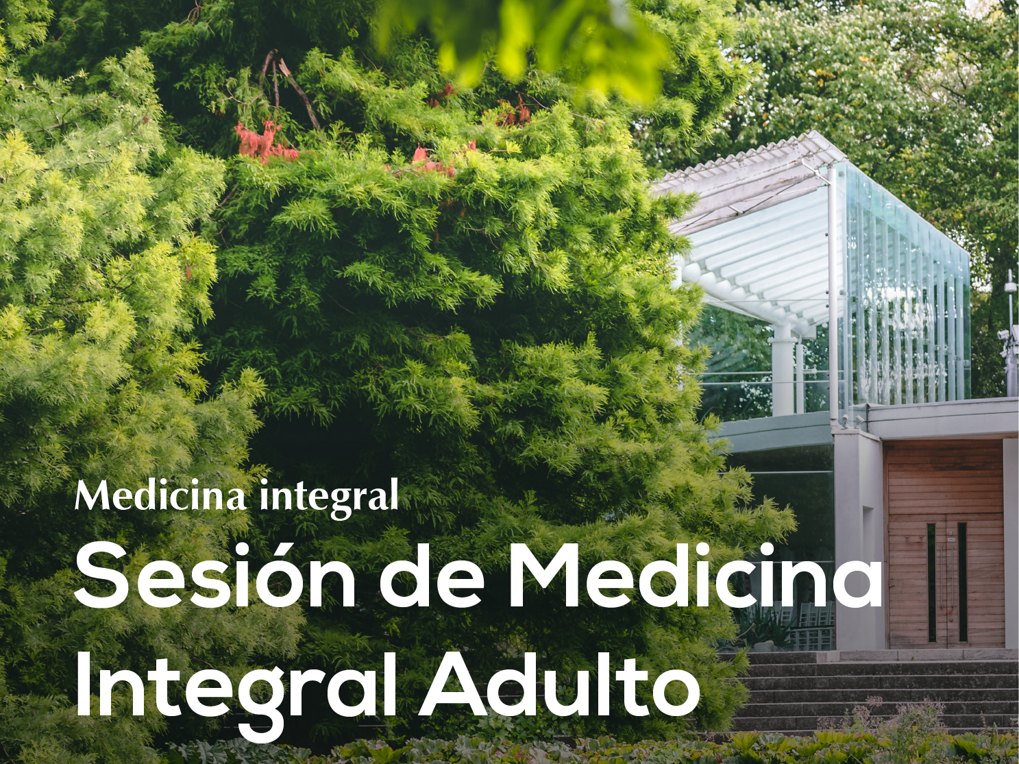 03. Sesión de Medicina Integral Adulto ♾️ ✨