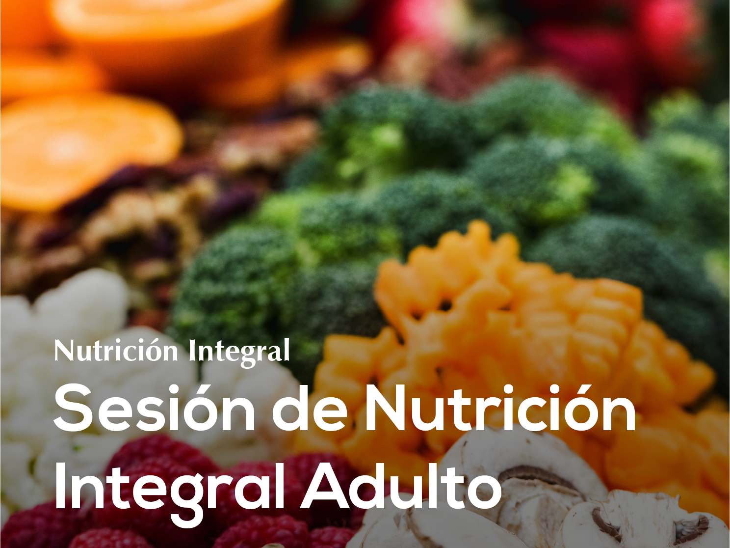 16. Sesión de Nutrición Integral Adulto ♾️✨
