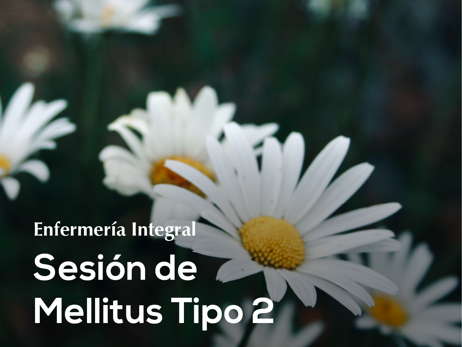 19. Sesión Enfermeria Integral en Diabetes Mellitus Tipo 2 ♾️✨