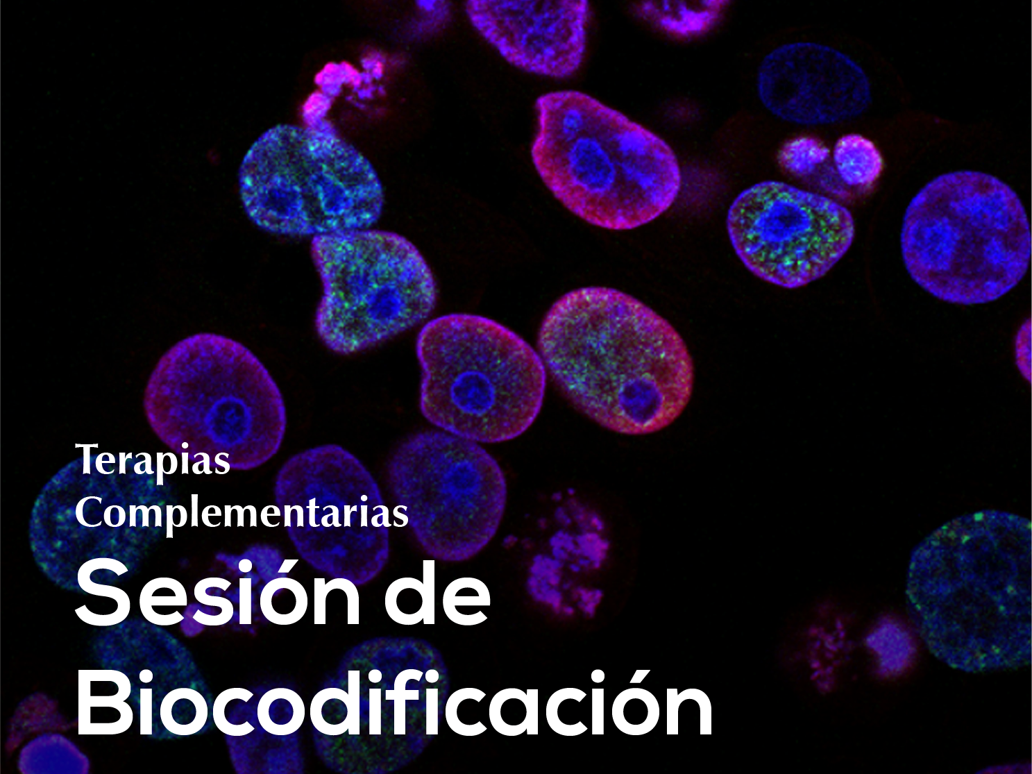 10. Sesión de Biodescodificación ♾️✨