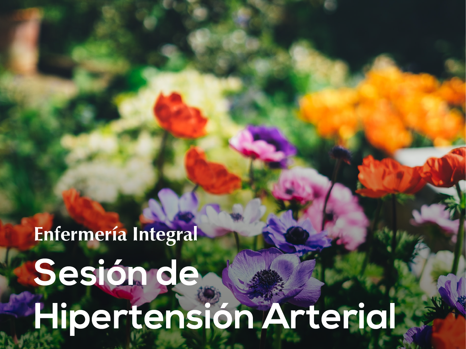 18. Sesión Enfermeria Integral en Hipertensión Arterial ♾️✨