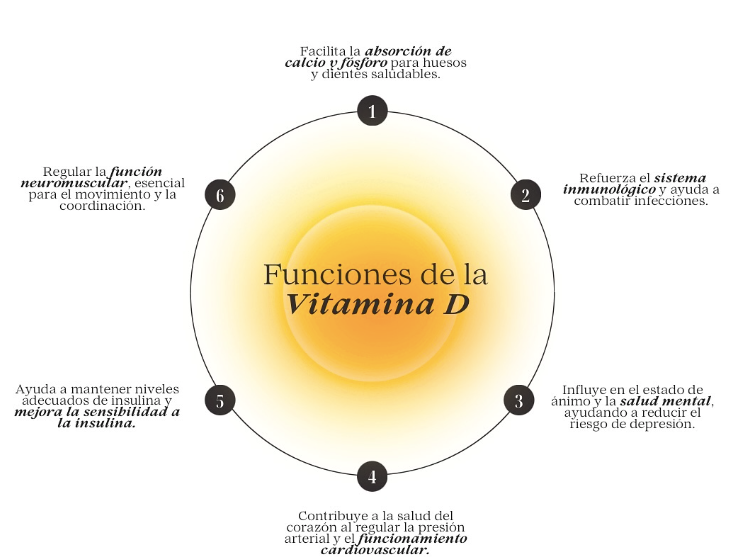 ¡Descubre las Funciones Claves de la Vitamina D para Tu Salud! 🧠🦴