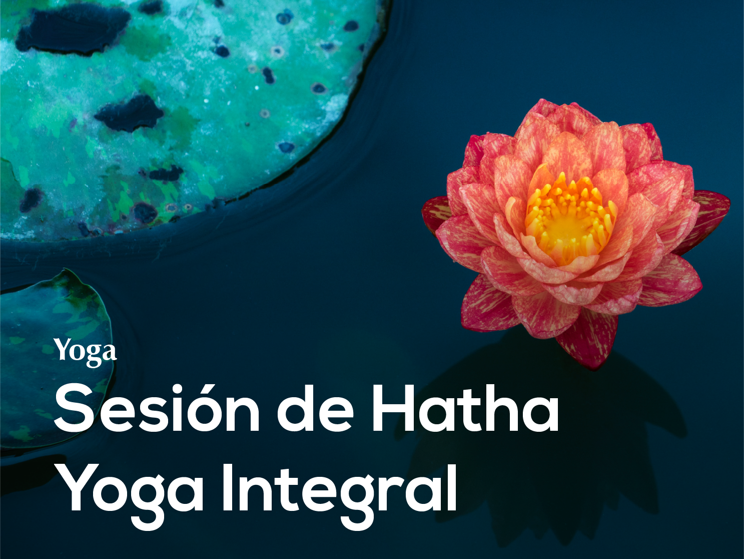 14. Sesión de Hatha Yoga Integral ♾️✨